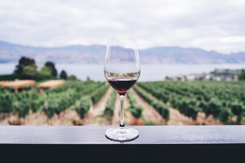 A wine glass and vineyard