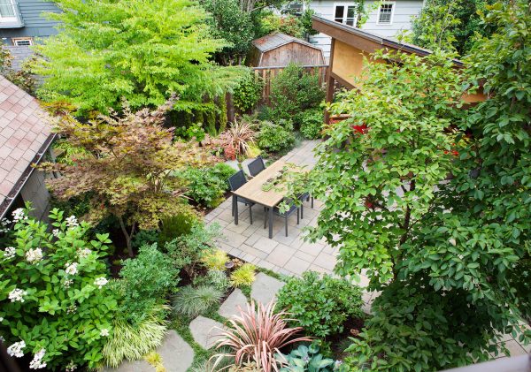 a dining table surrounded with plants in the backyard
