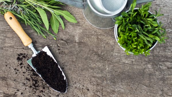 moist soil on small shovel