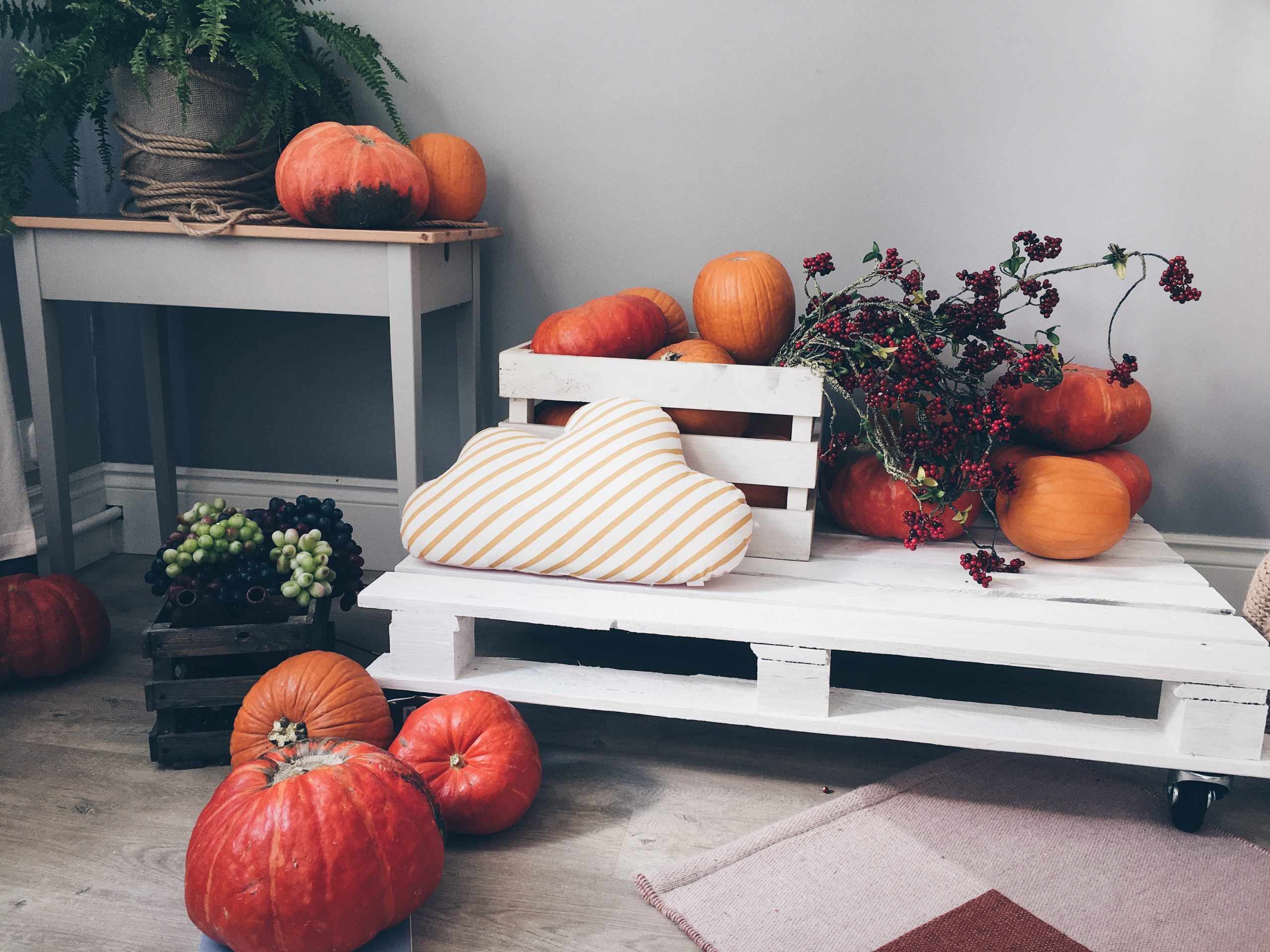 orange-pumpkin-lot-on-white-pallet-board
