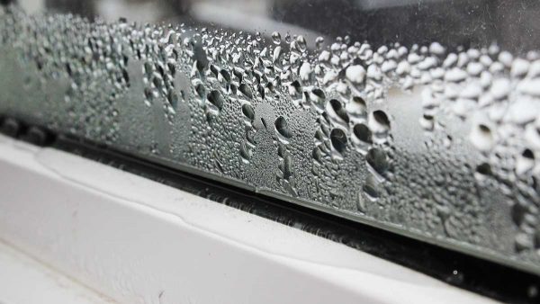 Moist windshield