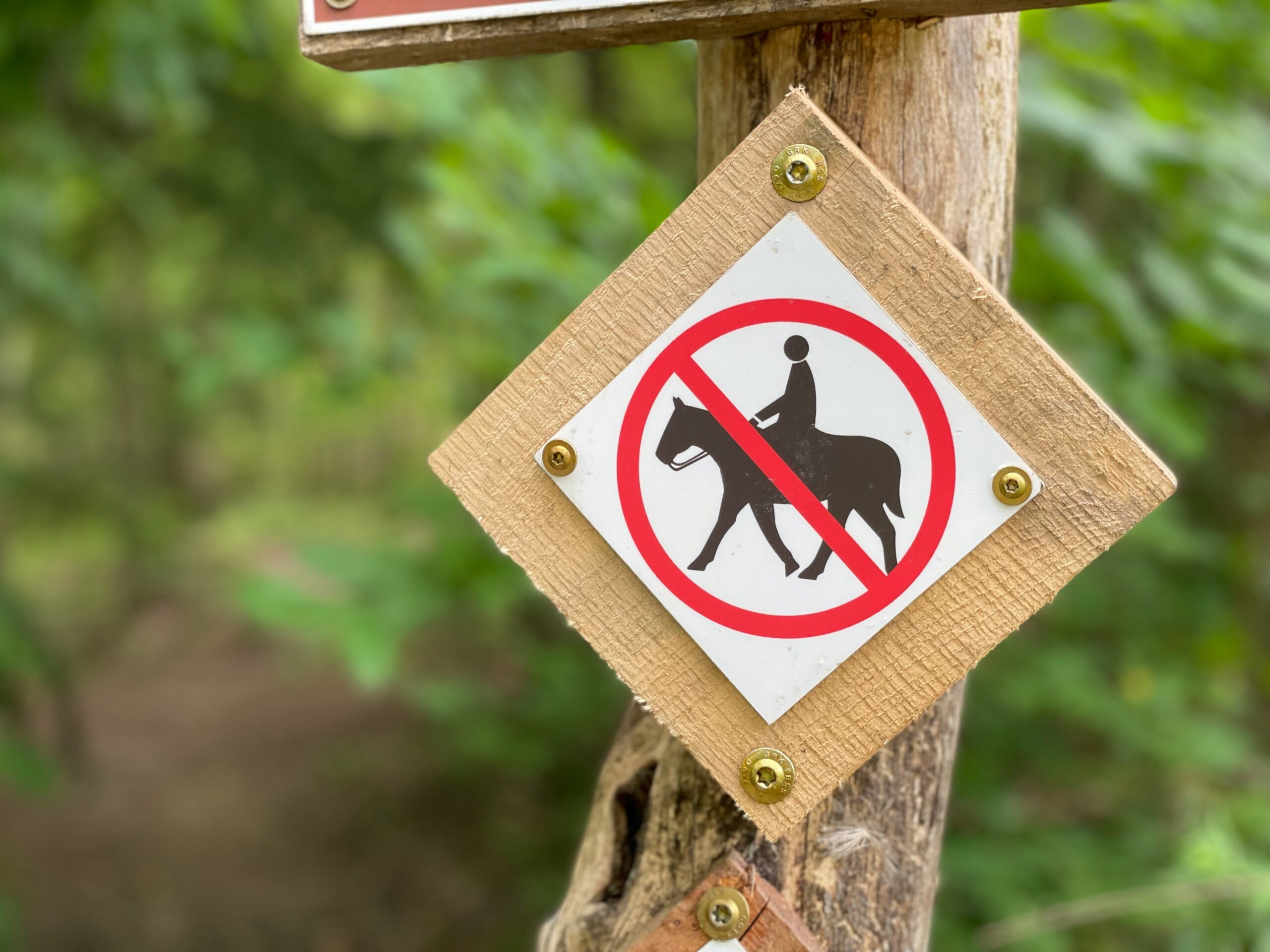 no horses sign - animals cannot be stored in self storage