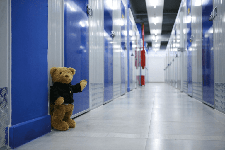 Understanding the Benefits of Self Storage for Collectors in Adelaide